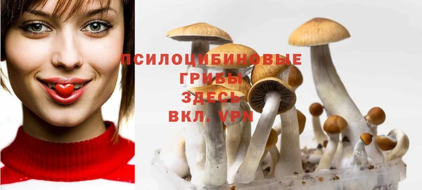 хмурый Белоозёрский